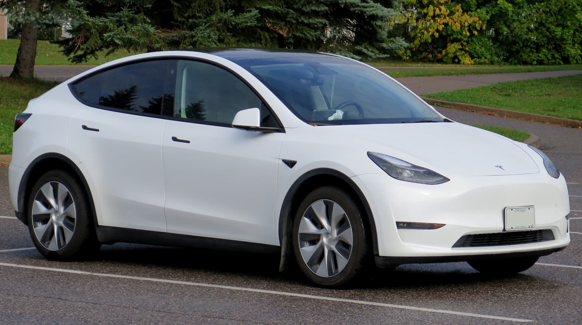2023_Tesla_Model_Y_Long_Range_All-Wheel_Drive_in_Pearl_White_Multi-Coat,_front_right,_2024-09-25.jpg